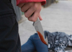 Озверевший 16-летний подросток 25 раз ударил ножом друга семьи в Ростове