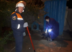 В Ростовской области спасли от верной гибели застрявшего под лестницей пса