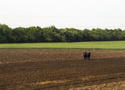 В Ростовской области определился крупнейший землевладелец