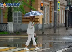 Дождь и ветер до 11 метров в секунду накроют Ростов