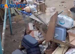 Привозила животных, запирала и уезжала: приют, где нашли трупы питомцев, работал неофициально 