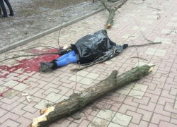За убитую деревом 21-летнюю ростовчанку никто ответственности не понесет