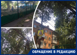 «Кого-нибудь убьет током»: в Ростове рядом с детским садом сухие ветки от деревьев падают на линии электропередач