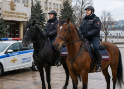 Полиция Ростова получила необычное пополнение