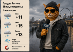 Последний день весны в Ростове пройдет под дождем