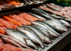 В Ростовской области сократилась отгрузка рыбной продукции