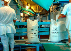 Сахарный завод пообещали построить в Ростовской области