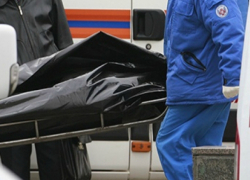 Мать пятерых детей погибла под колесами автомобиля на трассе Ростовской области