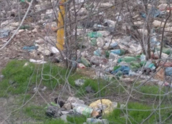 За мусор на улицах города незадачливых любителей свинского образа жизни штрафовали две тысячи раз в Ростове