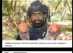 Молодого ростовчанина оштрафовали за гневный комментарий про «Талибан»