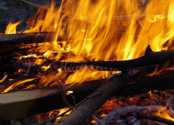В Ростовской области тушат большой пожар под Старочеркасском 