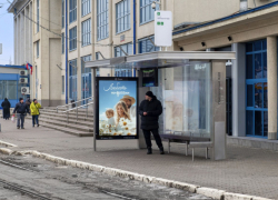 В Ростове установят 100 новых остановок до конца года