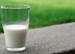 В соцучреждениях Ростовской области нашли молочный фальсификат
