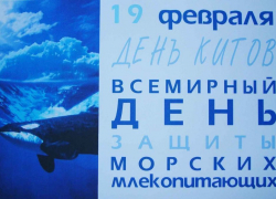 Календарь: 19 февраля – Всемирный день защиты морских млекопитающих и День китов