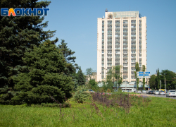 Тендер на озеленение Ростова сорвался из-за единственной заявки