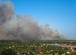 В Ростовской области горит 10 га леса