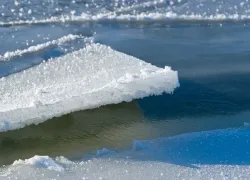 В Ростовской области в реке обнаружили тела двух маленьких девочек