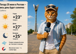 После непогоды в Ростове-на-Дону обещают солнце и до +27