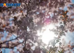 Что нельзя делать в день весеннего равноденствия 