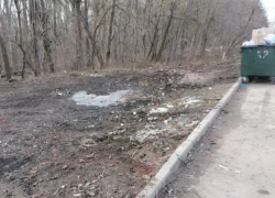 Свалку у Можайской рощи в Ростове ликвидировали после жалоб жителей в «Блокнот Ростов»