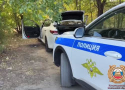 Наркодилер укусил инспектора ДПС и лишился наркотиков при задержании в Ростовской области