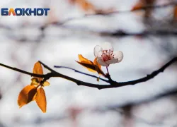 В Ростове введен режим повышенной готовности из-за ухудшения погоды