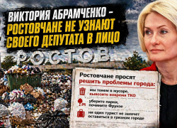 Ростовчане не узнали своего депутата: кто такая Виктория Абрамченко и чем она занимается