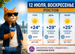 Жару до +29 прогнозируют синоптики в Ростове 12 июля