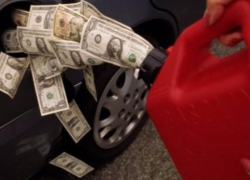 Государственные ведомства Ростовской области покупают бензин по завышенным ценам