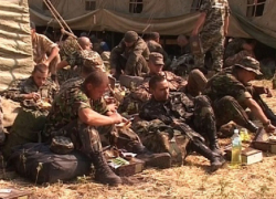 Более 60 украинских военных перешли границу в Ростовской области и попросили укрытия в РФ