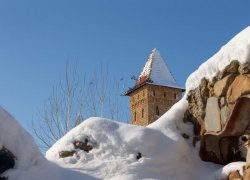 Парк «Лога» в Ростовской области временно закрыли из-за ухудшения погоды