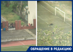 Жители Батайска шесть лет живут без спорта из-за закрытого стадиона