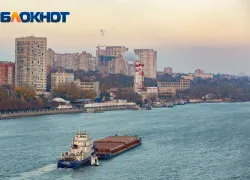 В Ростове решат судьбу строительства моста на Зеленый остров