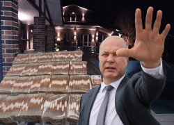 На что можно потратить богатства ростовских коррупционеров