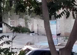 В Ростове мужчина с кошкой на руках выпал из окна