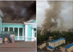 В зоопарке Ростова-на-Дону загорелся  музей и экзотариум
