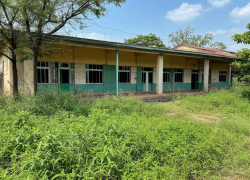 На Дону составили 620 протоколов за нескошенную траву 