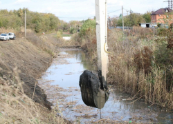 В Дон снова слили нечистоты  
