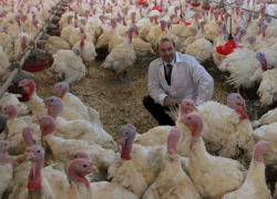 В охоту за землями в Ростовской области включился "Евродон"