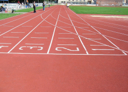 В Ростове у стадиона Труд построят дворец спорта