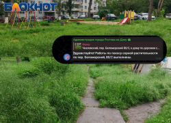 Сорняки остались на месте: коммунальщики оставили высокую траву возле детской площадки в Ростове