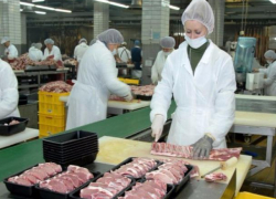 Яйца и мясо в 2016 году восхитили ростовских чиновников