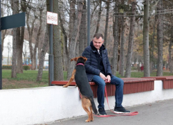 Слюсарь опубликовал милые кадры с Каштанкой во время прогулки