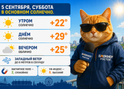 В Ростове столбики термометров поднимутся до +29 градусов
