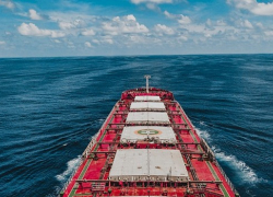 Ростовский портовой инспектор согласился за взятку невнимательно осматривать корабль