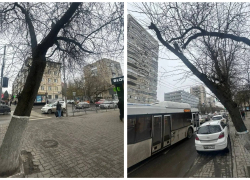 В центре Ростова на Ворошиловском спилят почти 60 аварийных деревьев