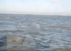 В Ростовской области рыбак поймал сетью беспилотник из Азовского моря 