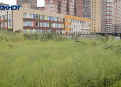 В Ростовской области продажи препаратов против аллергии выросли на 20%