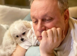 Ростовчанин Сергей Жигунов поддержал протест выпускников Школы-Студии МХАТ из-за назначения Богомолова