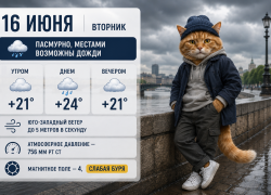 В Ростове 16 июня ожидается пасмурная погода и слабая магнитная буря